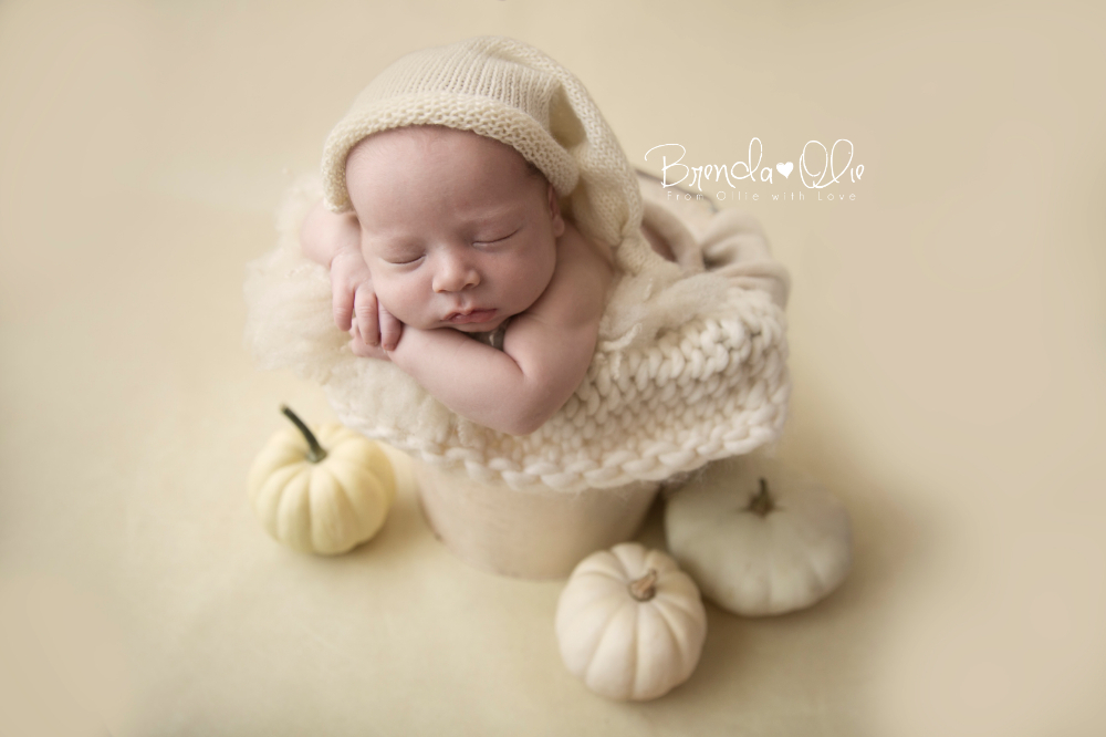newborn fotografie opleiding tot newborn baby zwangerschapsfotograaf
