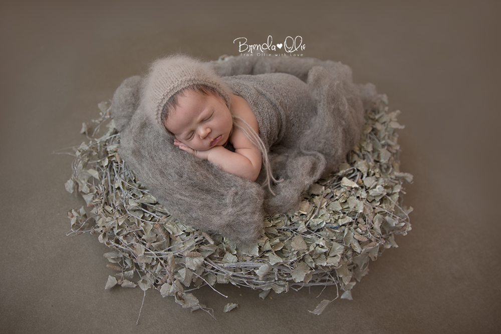 newbornfotografie-brendaolie