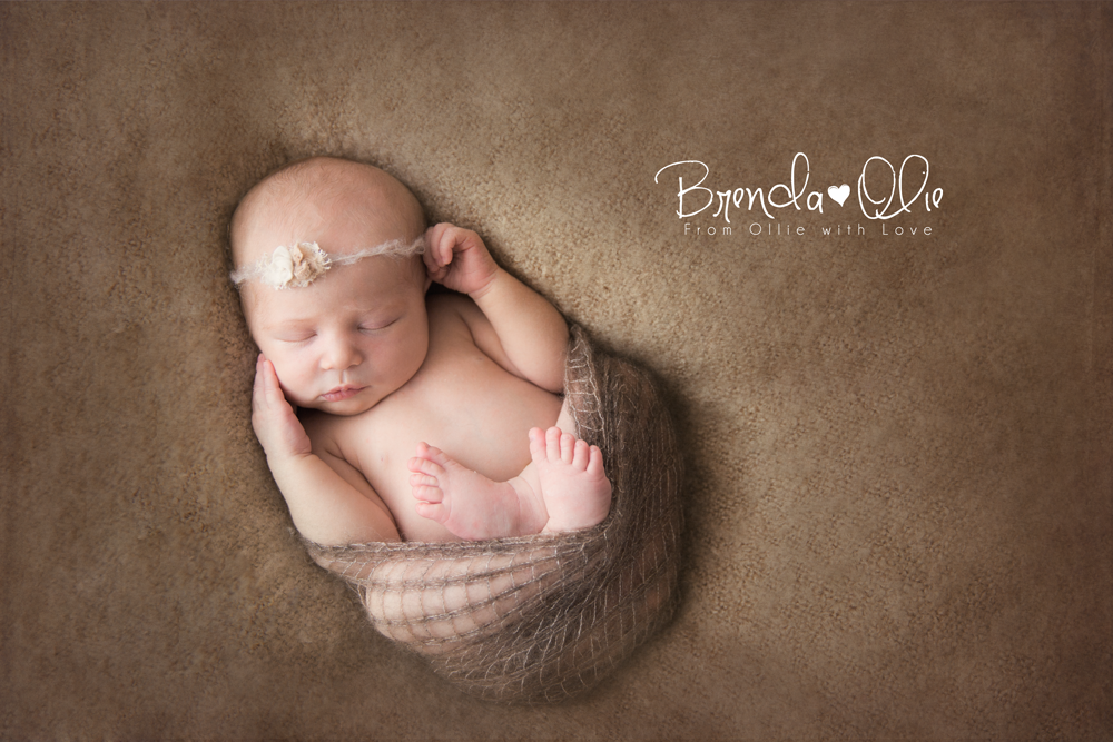newborn fotografie brenda olie